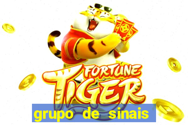 grupo de sinais fortune rabbit